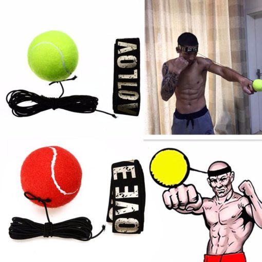 Boxing Speed Reflex Ball