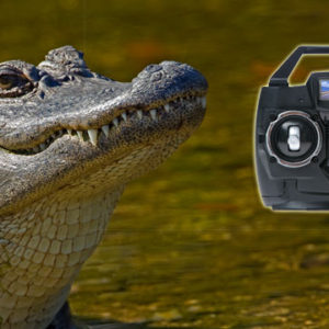 alligator remote control car