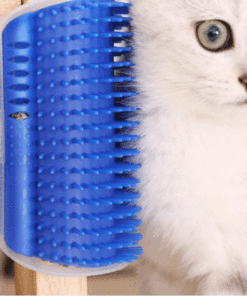 Cat Massage Brush