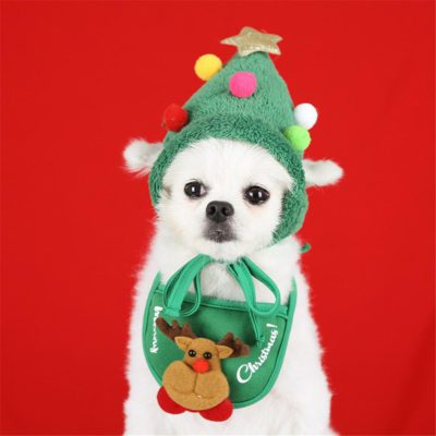 Pet Santa Christmas Hat Outfit