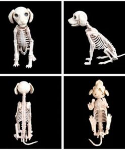 Animated Two Headed Skeleton Dog