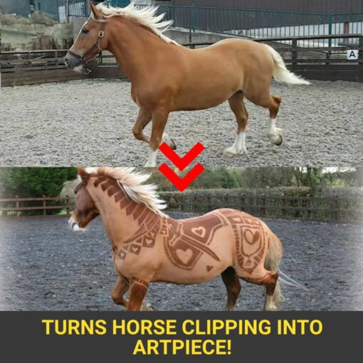 Artish Horse Clipping Stencil