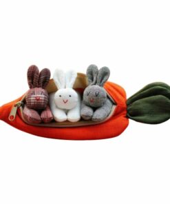 Hide-and-Seek Bunnies in Carrot Pouch