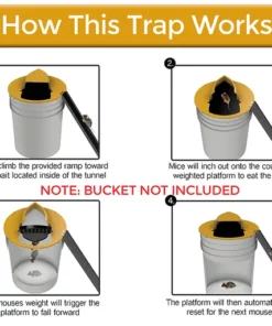 Flip N Slide Bucket Lid Mouse Trap