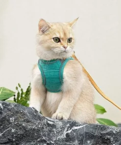 Luminous Cat Vest Harness and Leash Set