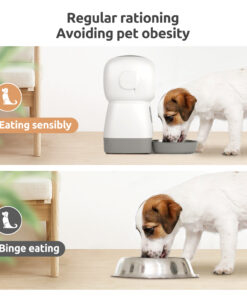 Pet Kibble Dispenser