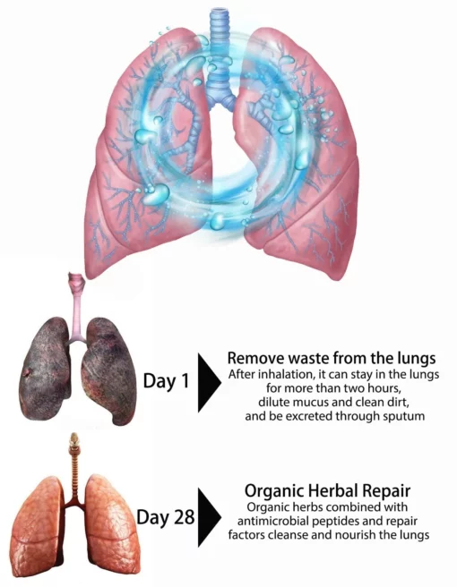 Slimory® Organic Herbal Lung Cleanse & Repair Breathing Stick - Image 3