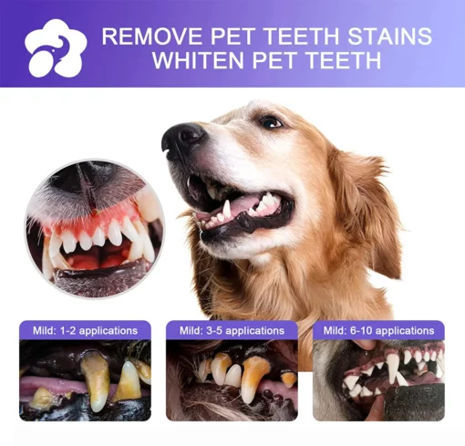 Petry® Teeth Cleaning Spray for Dogs & Cats - Image 4