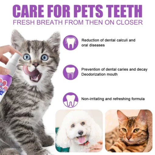 Petry® Teeth Cleaning Spray for Dogs & Cats - Image 5