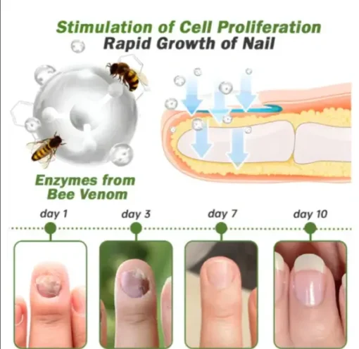 Nail serum with bee venom - Image 2