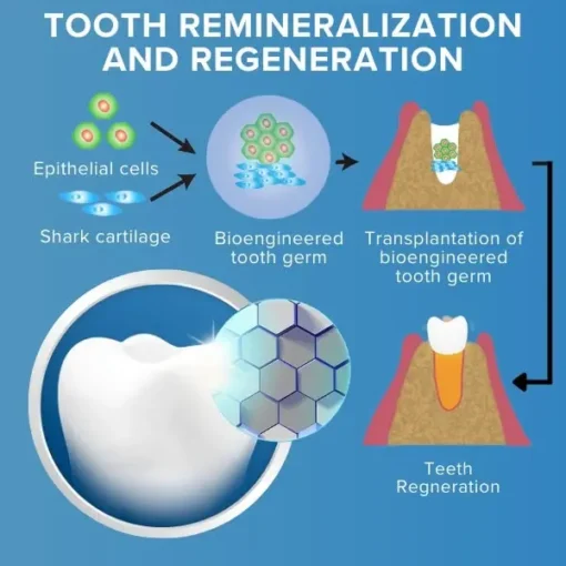 AEXZR™ Shark Cartilage Protein Dental Regrowth Strips - Image 4