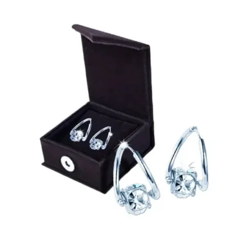 CZTICLE™ Lymphvity MagneTherapy Germanium Earrings - Image 13