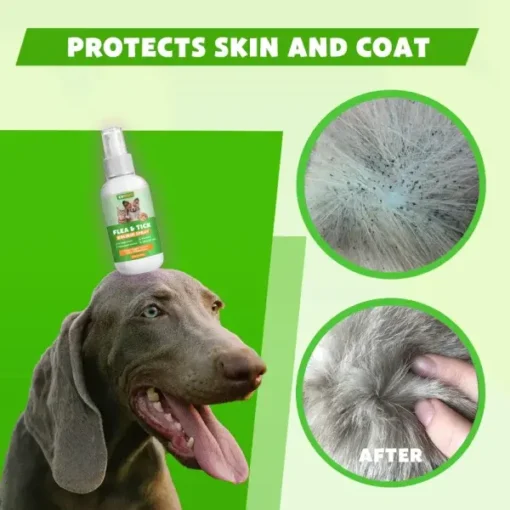 Cvreoz™ Flea & Tick Kolirin Spray - Image 5