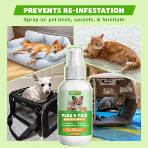 Cvreoz™ Flea & Tick Kolirin Spray - Image 7