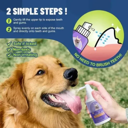 Seurico™ Teeth Cleaning Spray with Oral Probiotics for Dogs & Cats - Image 4