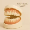 NESLEMY™ – Premium Denture